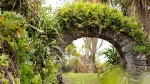 Property grounds - Shared Pools & Private Beaches! Room w/Garden View (Sandys Parish)