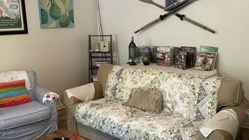 TV, DVD player, books, video library