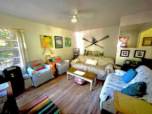 Televisor, reproductor de DVD, llibres i videoteca