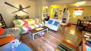 TV, DVD player, books, video library