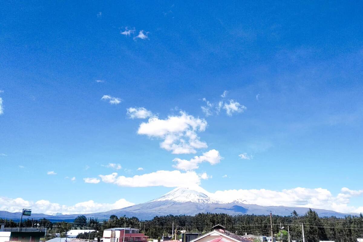 Vista de uma montanha com pico nevado, céu azul límpido e área arborizada em primeiro plano.