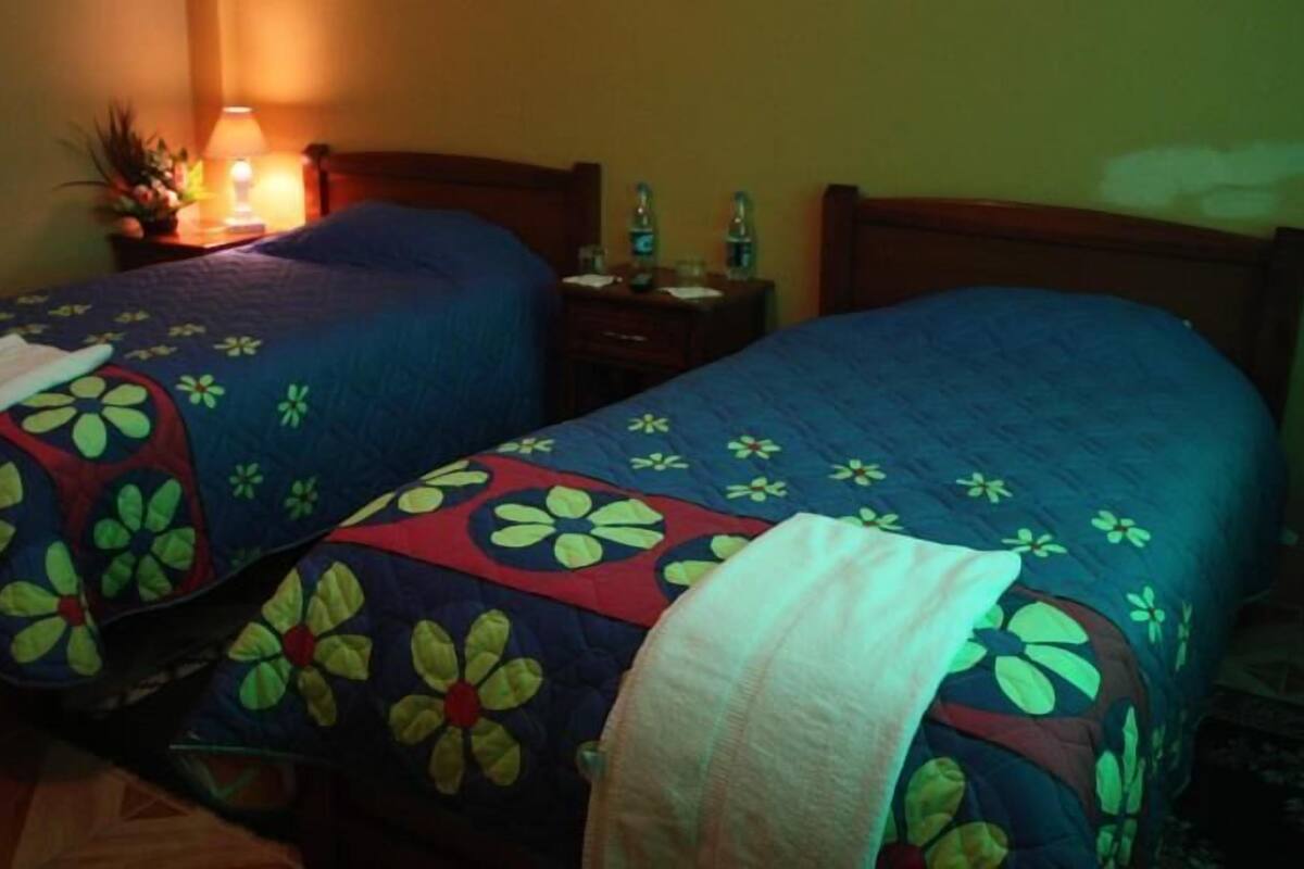 Duas camas de solteiro com roupa de cama estampada, uma mesa de cabeceira com abajur e uma pequena planta no lado esquerdo.