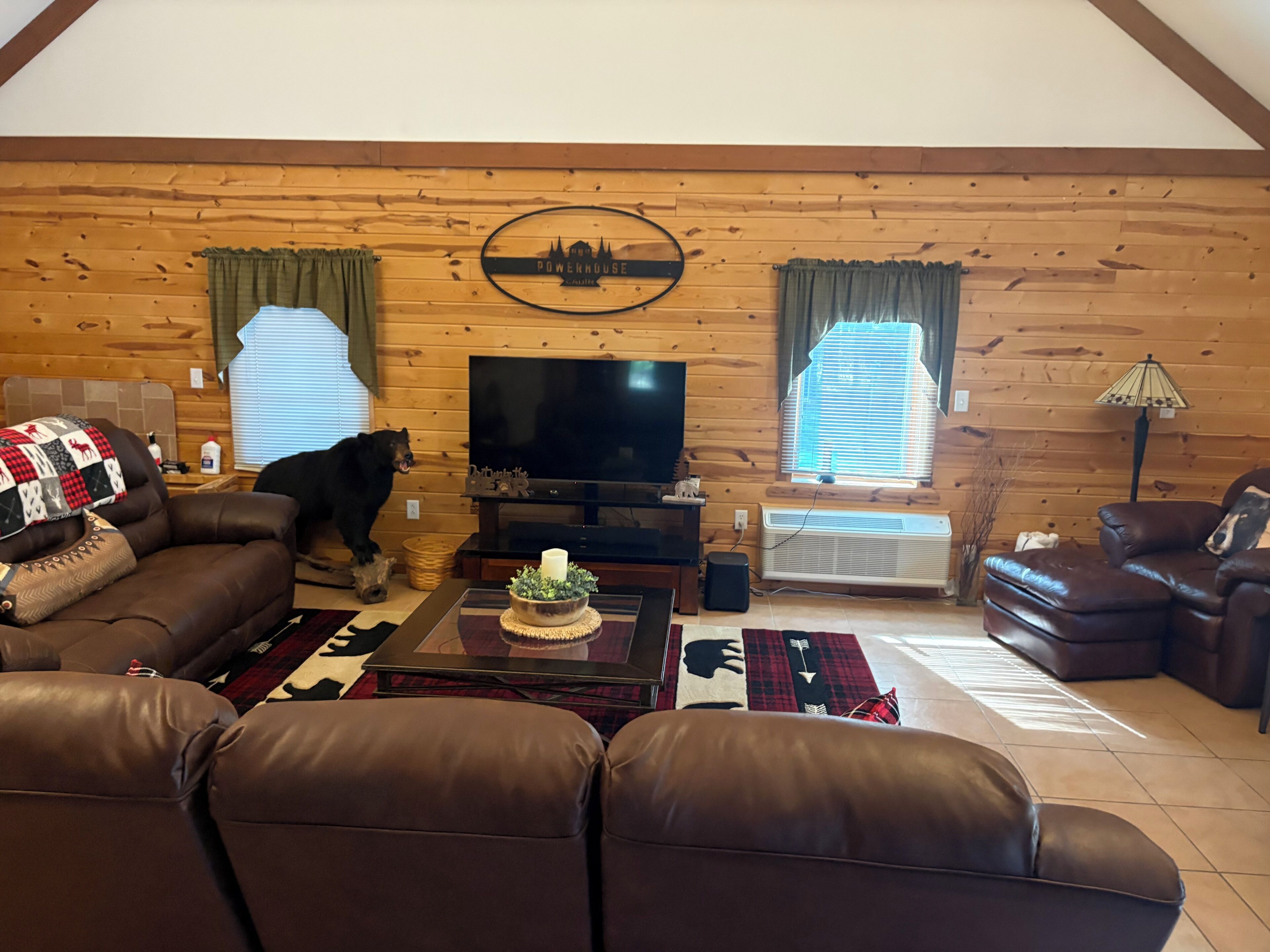A cozy cabin interior with a wooden wall, a television, leather sofas, and a dog.