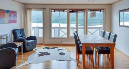 Superbe appartement Ă Tyinkrysset