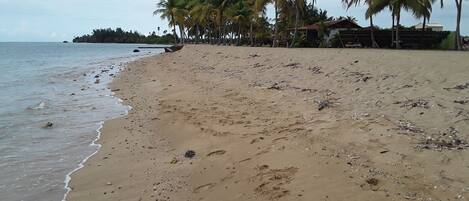 Plage à proximité, chaises longues, serviettes de plage