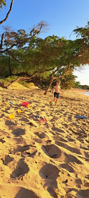 On the beach, sun loungers, beach towels
