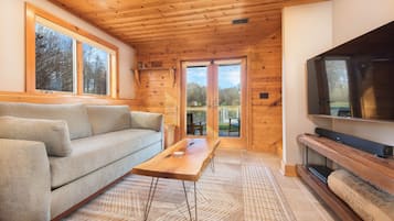 TV, fireplace, DVD player, ping pong