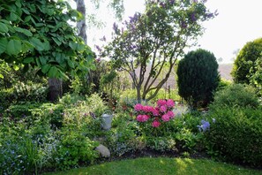 Property grounds - 1608 Haus Mumm - 1608 - "Haus Mumm" in Dahme (Dahme)