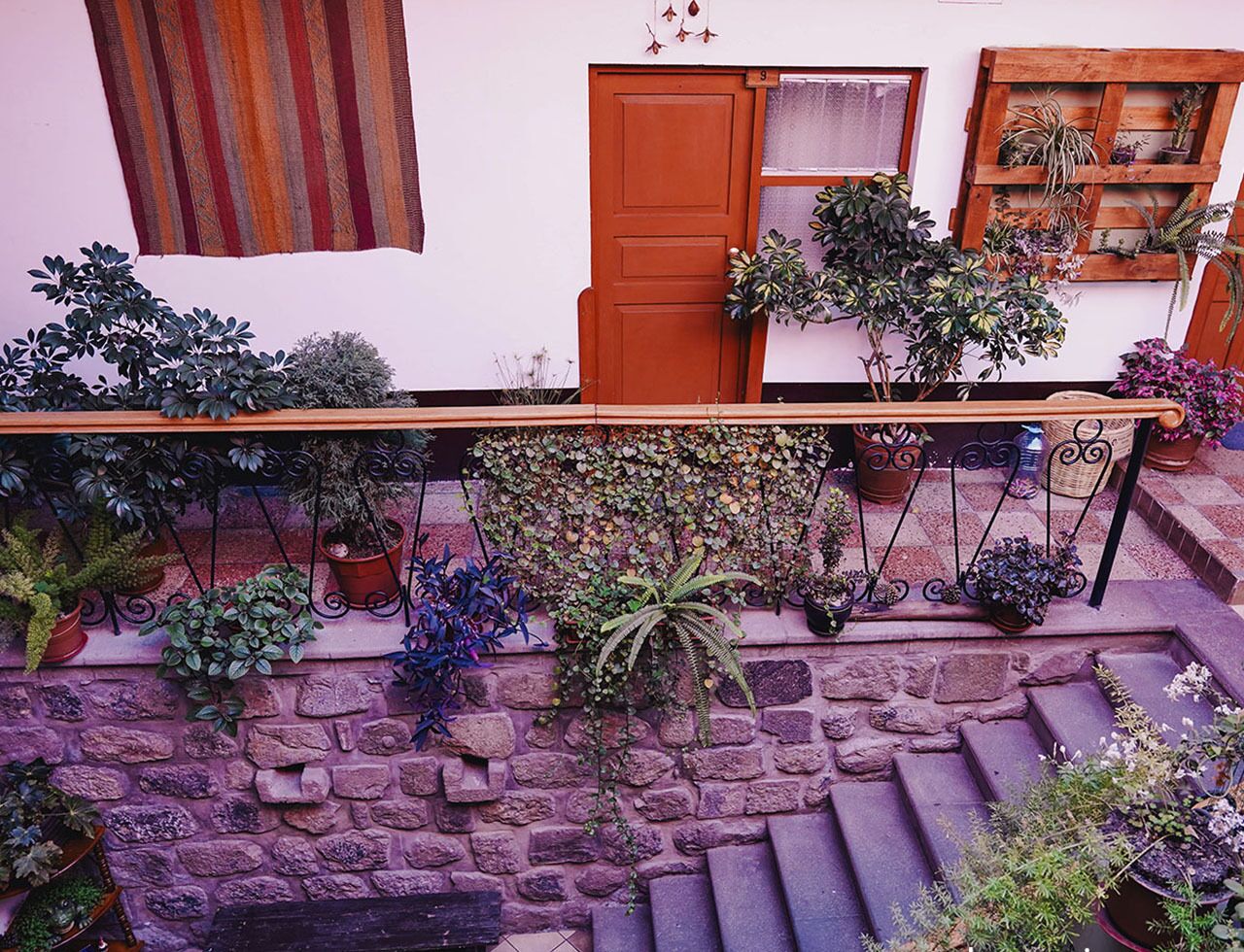 Foto - Eco Home View - Guest House