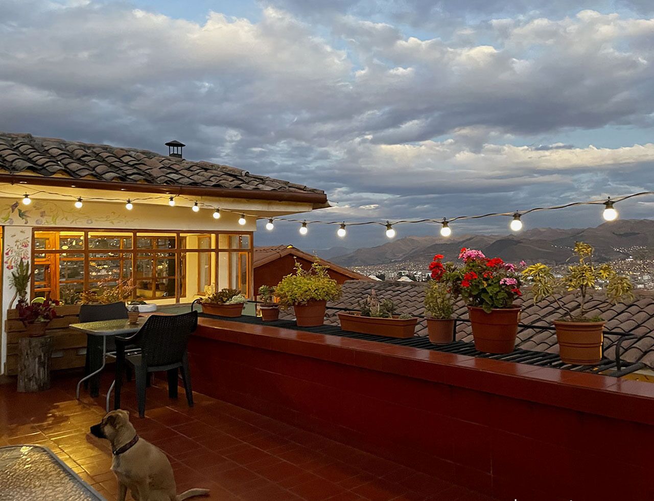 Foto - Eco Home View - Guest House