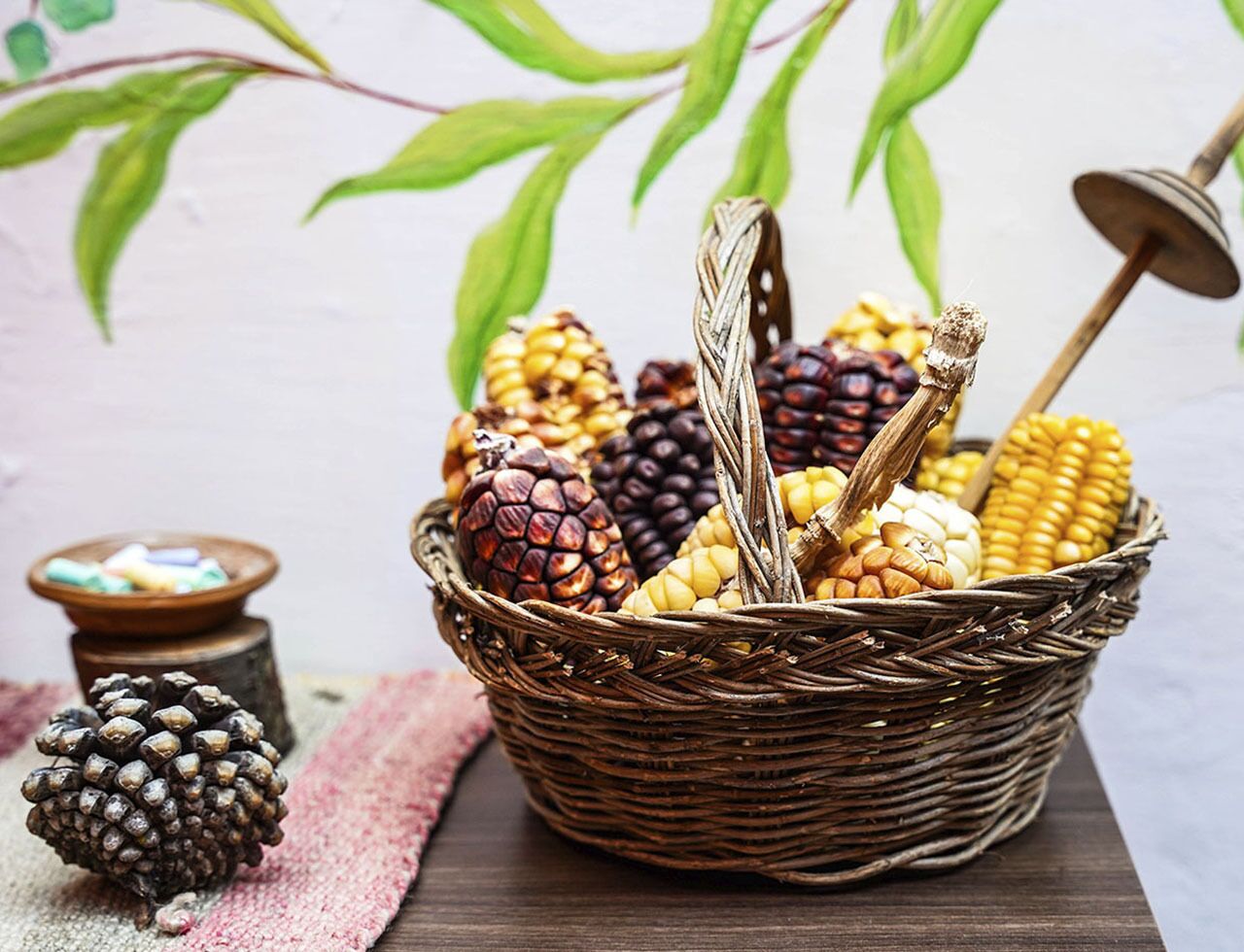 Foto - Eco Home View - Guest House