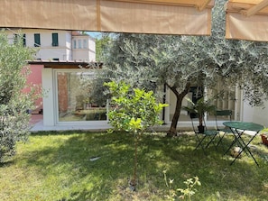 Zona exterior amb gespa, un arbre petit, una taula amb caires i un edifici al fons.