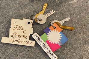 Three key tags with text and symbols.