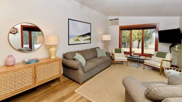 Smart TV, DVD player, books, video library