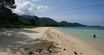 HCS Bungalows, Turtle Bay Rustic Bungalow with garden, Flat #1