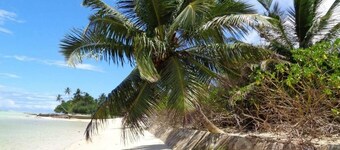 HCS Bungalows, Turtle Bay Rustic Bungalow with garden, Flat #1