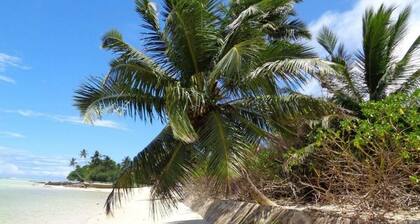 HCS Bungalows, Turtle Bay Rustic Bungalow with garden, Flat #1