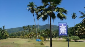 Un parcours de golf bordé de palmiers et agrémenté d’un panneau sur lequel figure un blason.