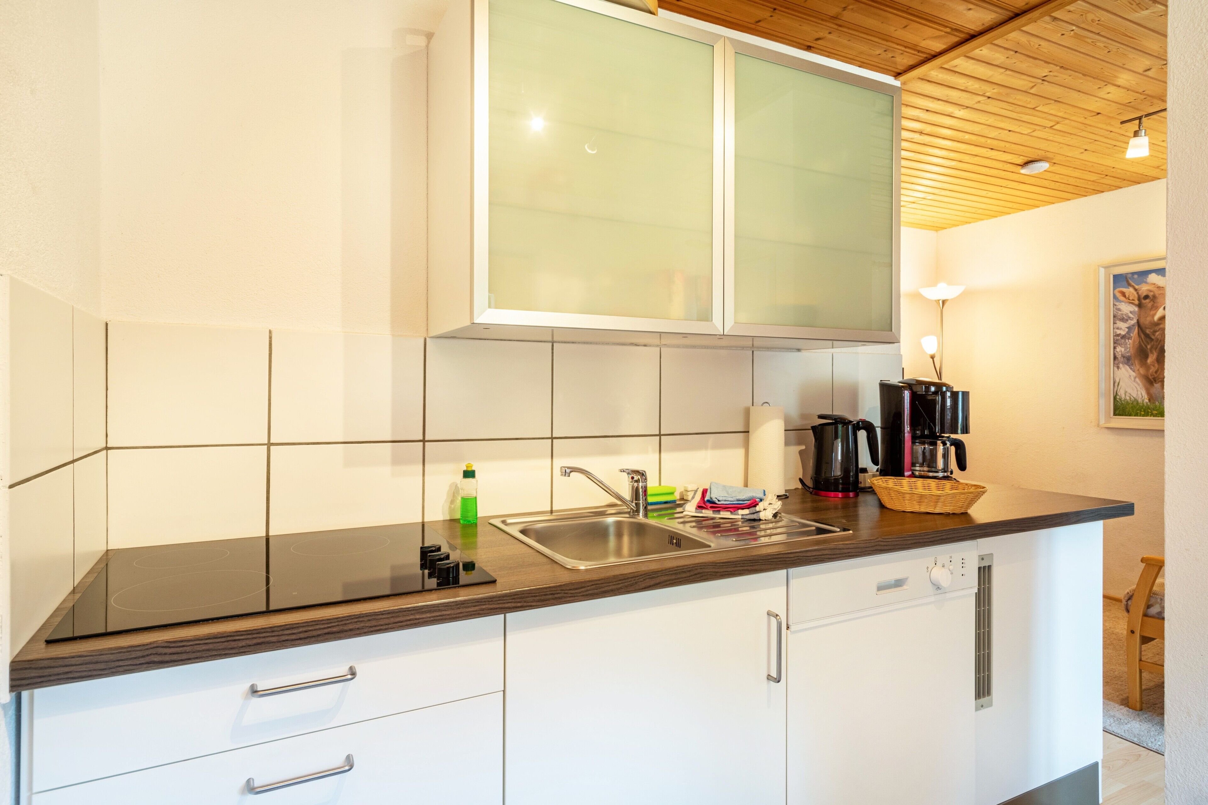 Een koelkast, een magnetron, een kookplaat, een vaatwasser