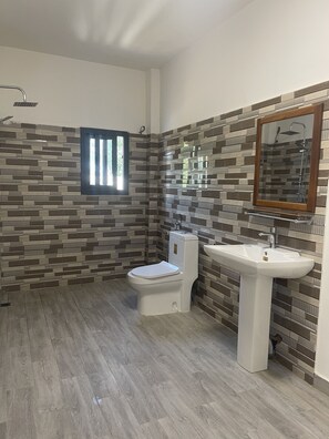 Combined shower/tub, bidet