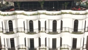 外觀