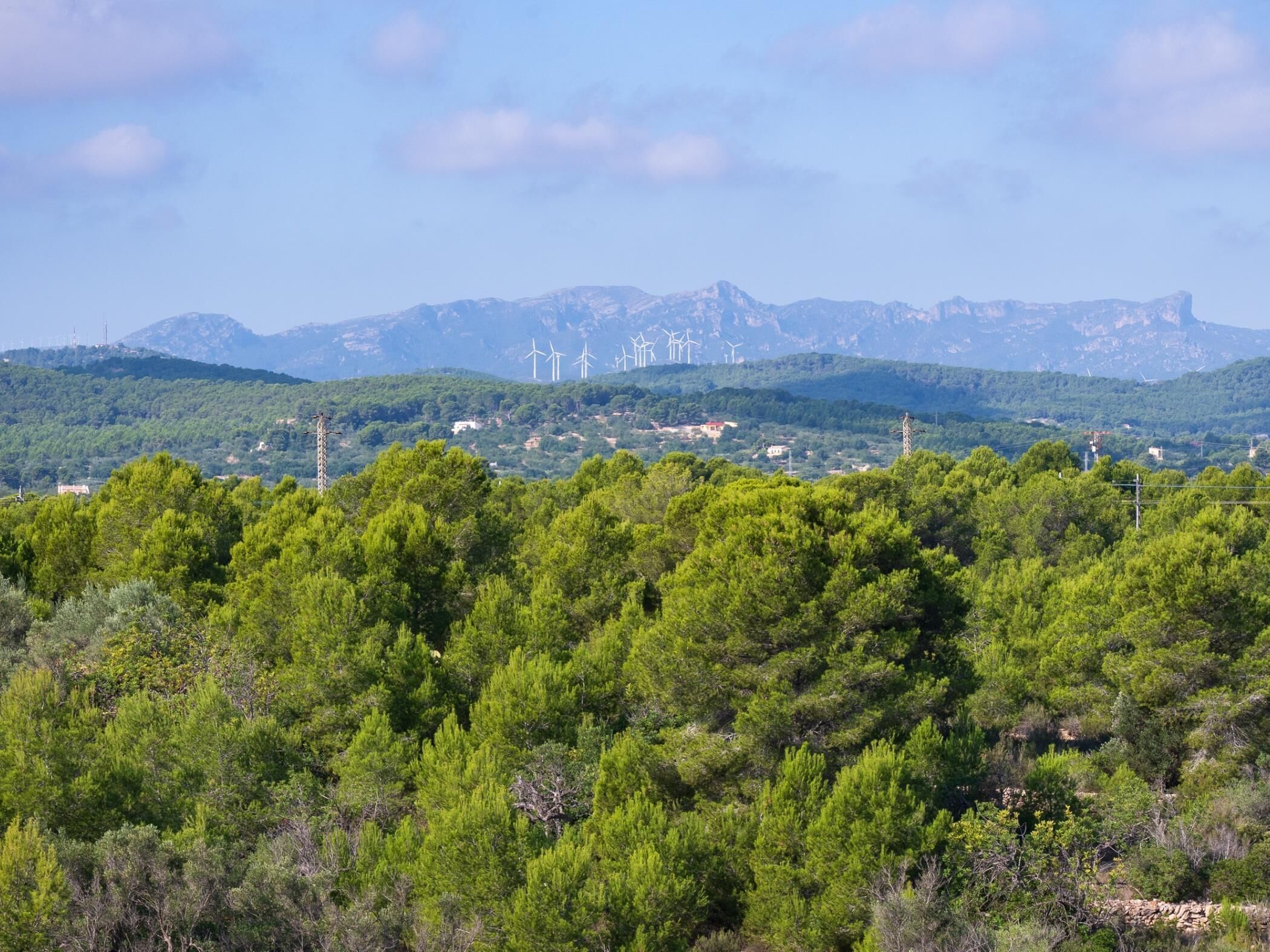 A landscape with dense green trees, a mountain range, and wind turbines in the distance.