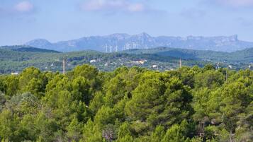 A landscape with dense green trees, a mountain range, and wind turbines in the distance.
