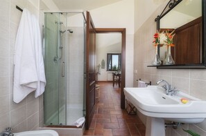 Shower, hair dryer, bidet, towels
