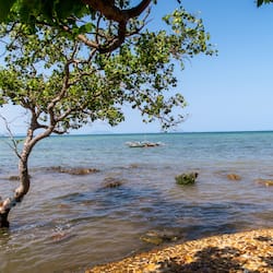 Bãi biển riêng, ghế dài tắm nắng, dù trên bãi biển, khăn tắm biển