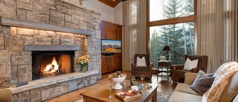 TV, fireplace, offices