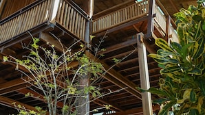 Una estructura de madera con varios balcones y techo de cristal.