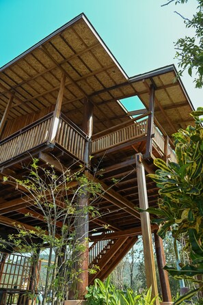 Pan's family 4 | Front of property - Pan's farm (Doi Saket)