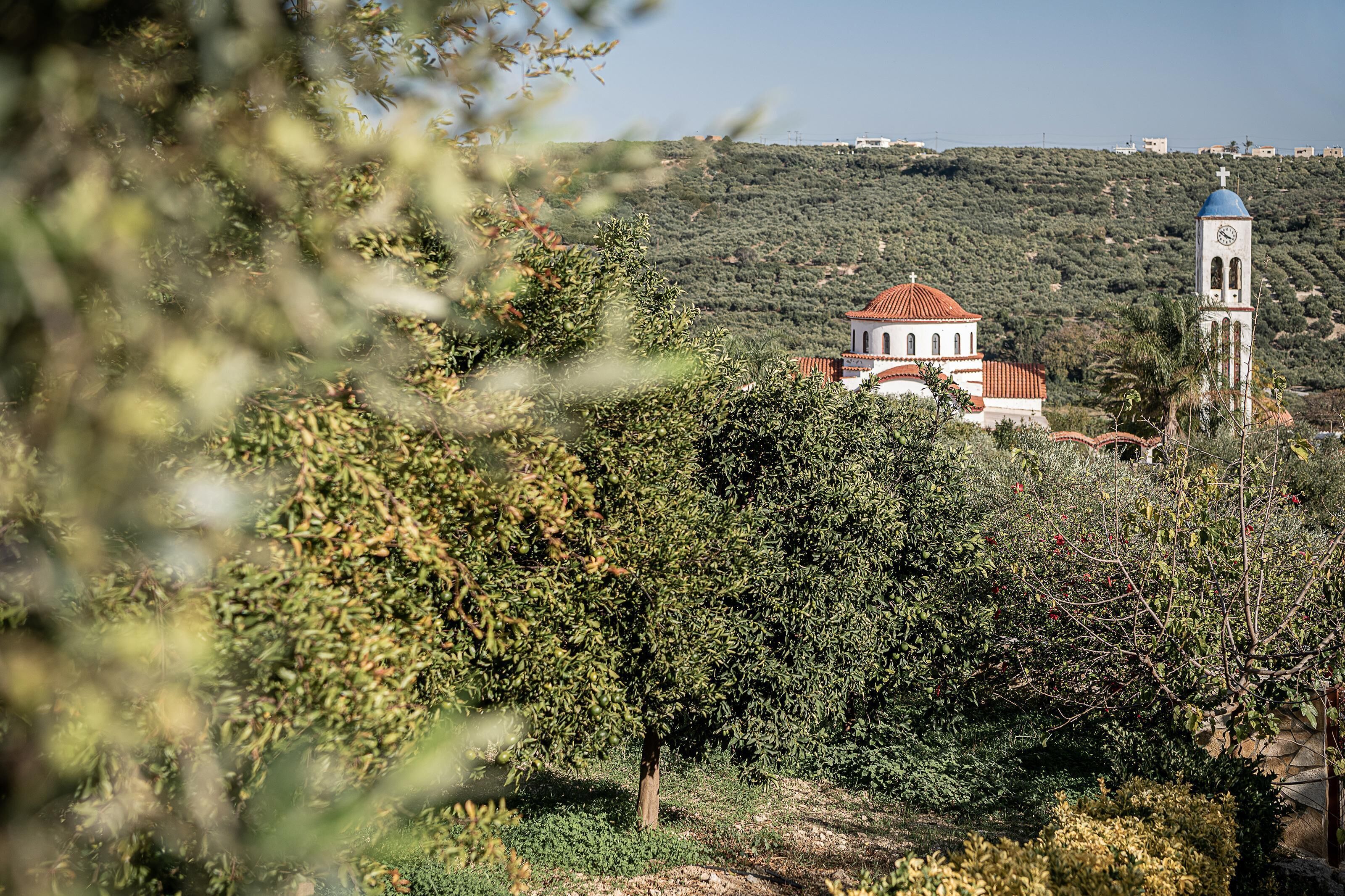 A church with a bell tower and a red-tiled roof, surrounded by dense greenery and trees.