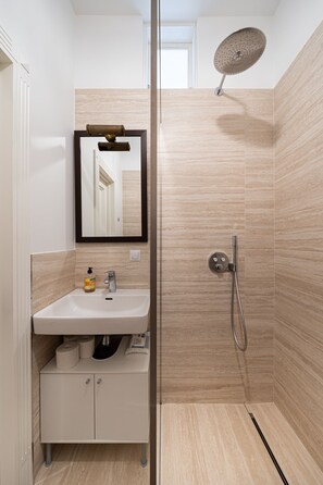Shower, hair dryer, towels, soap