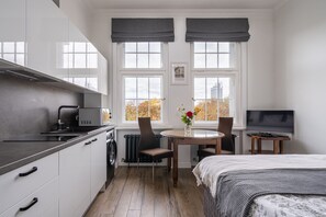 1 bedroom, desk, iron/ironing board, free WiFi - Apartment in Riga Center with Park View (Riga)