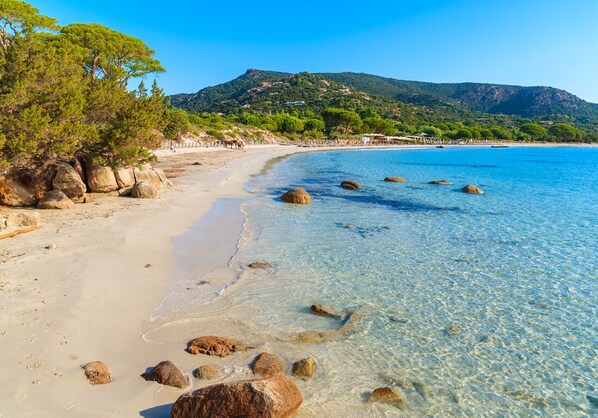 Plage, chaises longues
