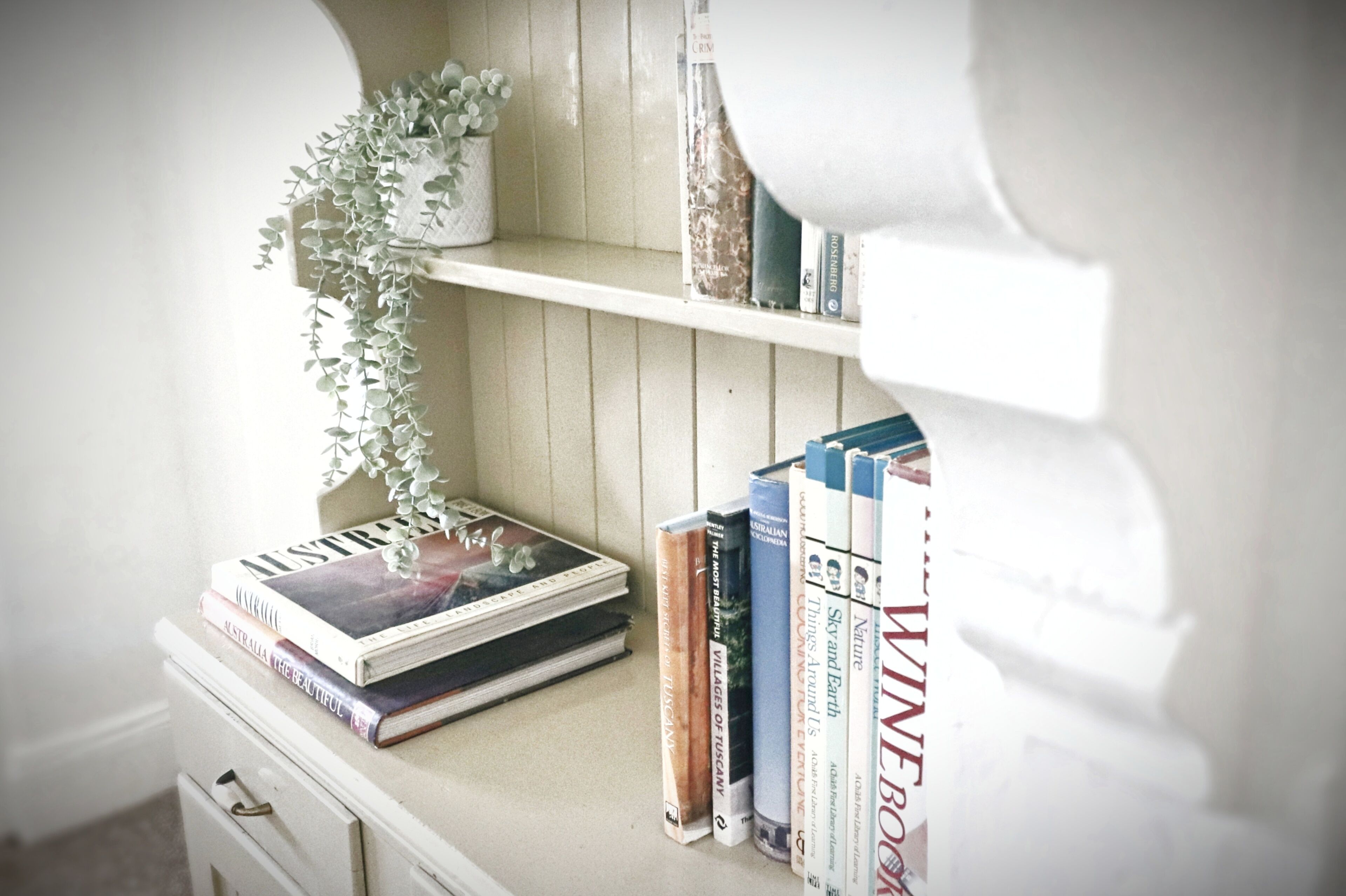 Een boekenplank met boeken en een kleine plant in een pot.
