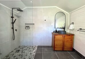 Combined shower/tub, hair dryer, towels, shampoo