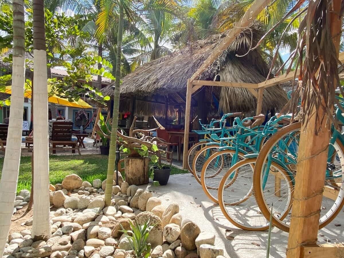 Terrein van de accommodatie