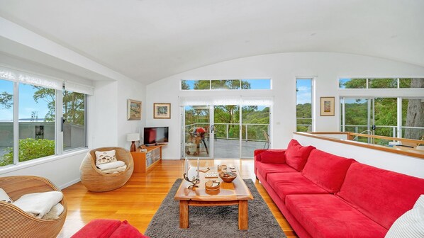 TV, Netflix, books, streaming services