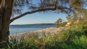 A beach with a tree in the foreground and a clear view of the sea.