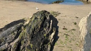 A coastal town with stone buildings, a sandy beach, and rocky outcrops.