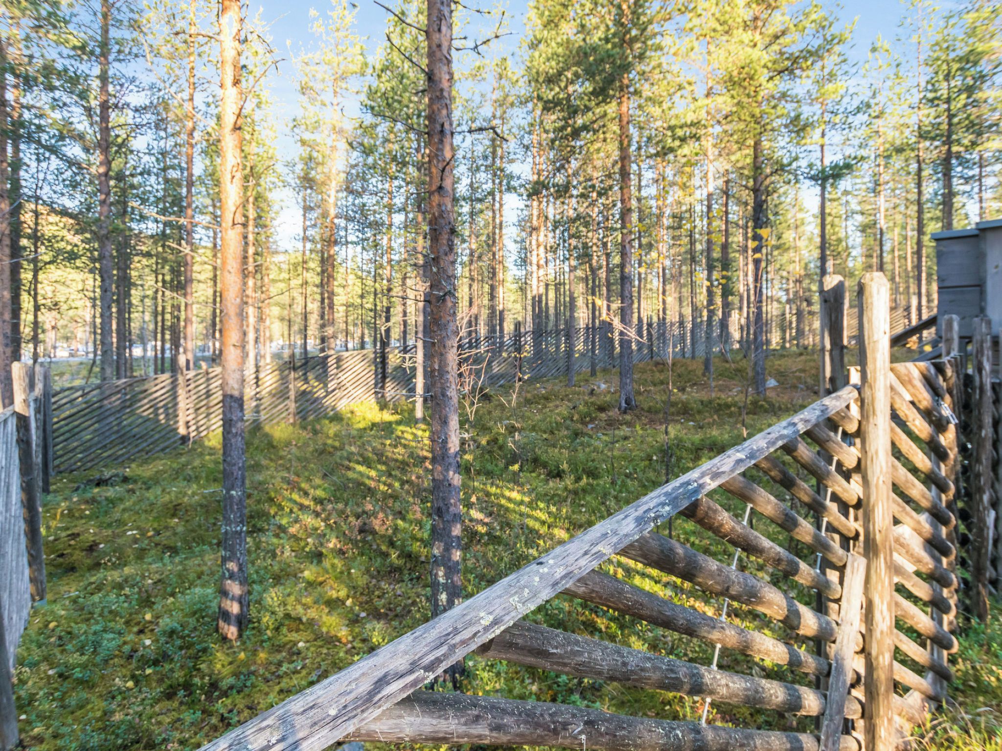 Un'area boschiva con una recinzione in legno e una struttura in legno.