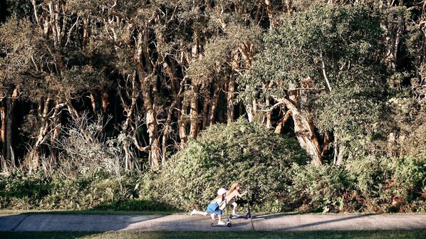 A paved path with dense foliage and trees in the background. - The Sails - 2-21 Beech Street (Evans Head)