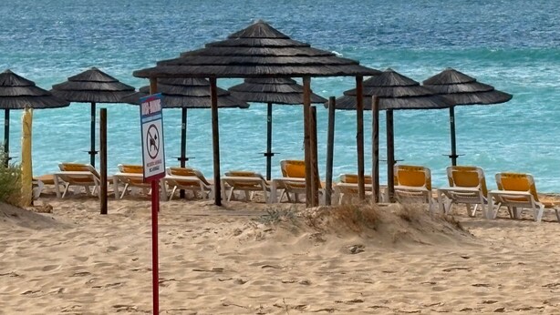Une plage avec des parasols et des chaises, un panneau indiquant qu’il est interdit de se baigner, et l’océan en arrière-plan.