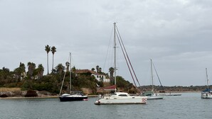 Un port de plaisance où sont amarrés plusieurs voiliers, un bâtiment avec un toit rouge et, au fond, des palmiers.