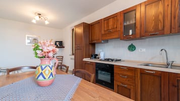 Fridge, oven, stovetop, electric kettle