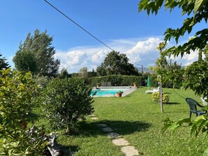 A backyard with a swimming pool, a lawn, and a few trees.