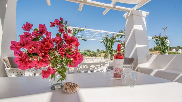A white table with a vase of pink flowers, a seashell, and a bottle.