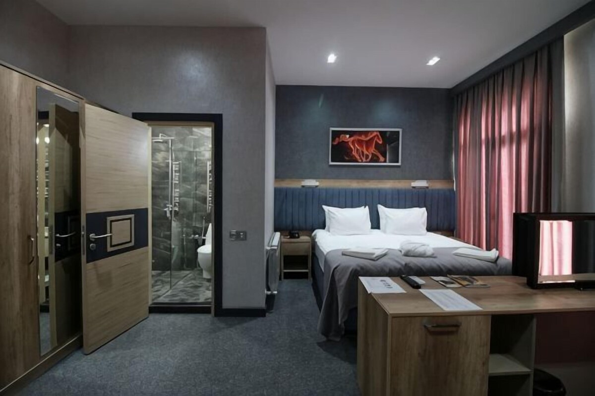 Habitación de hotel con cama, escritorio, armario y zona de ducha.